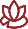 Spa icon
