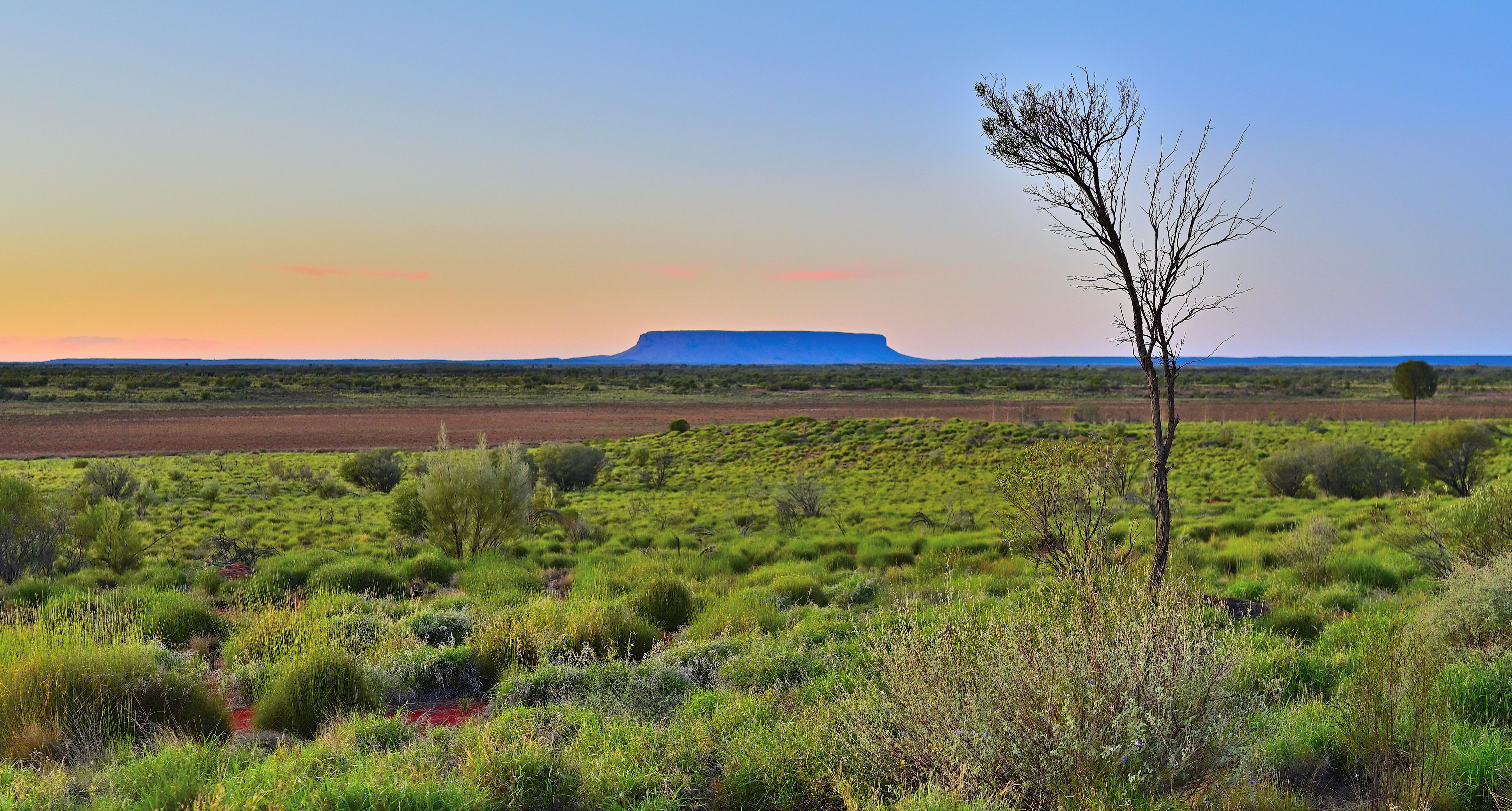 Mount Connor Asutralia in the distance